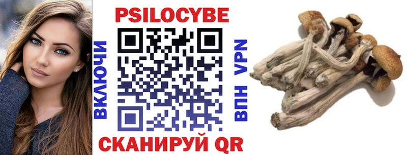 Галлюциногенные грибы Psilocybine cubensis  где найти наркотики  Макаров 
